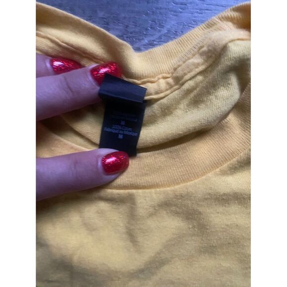 Vintage 2017 The Beach Boys Wild Honey concert tee - Picture 3 of 5